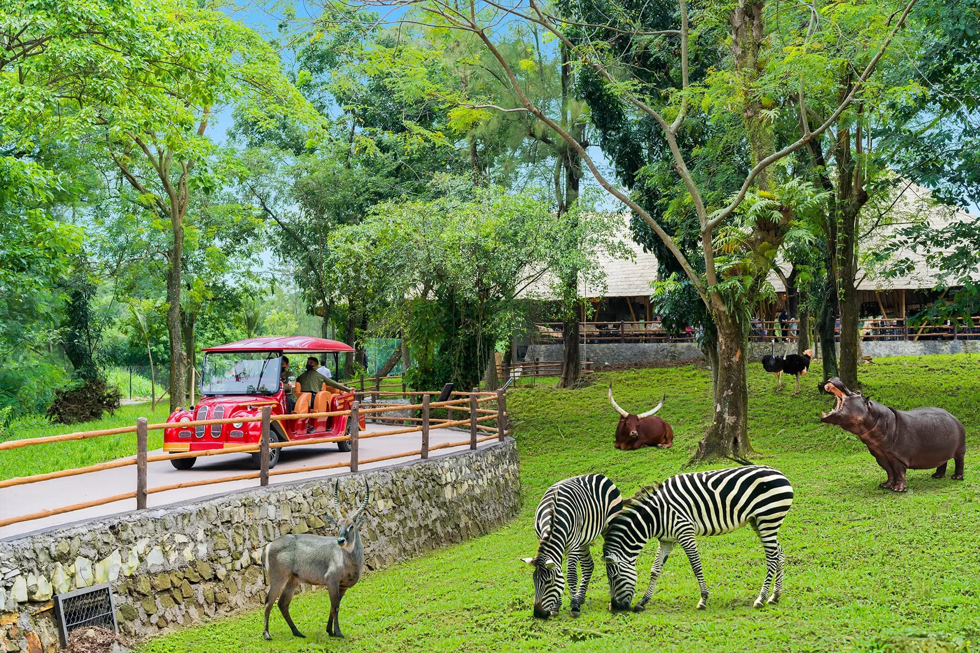 Wisata Solo — Amanah Outbond & Solo Zoo